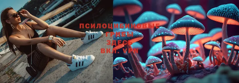 Галлюциногенные грибы MAGIC MUSHROOMS  как найти закладки  Миньяр 